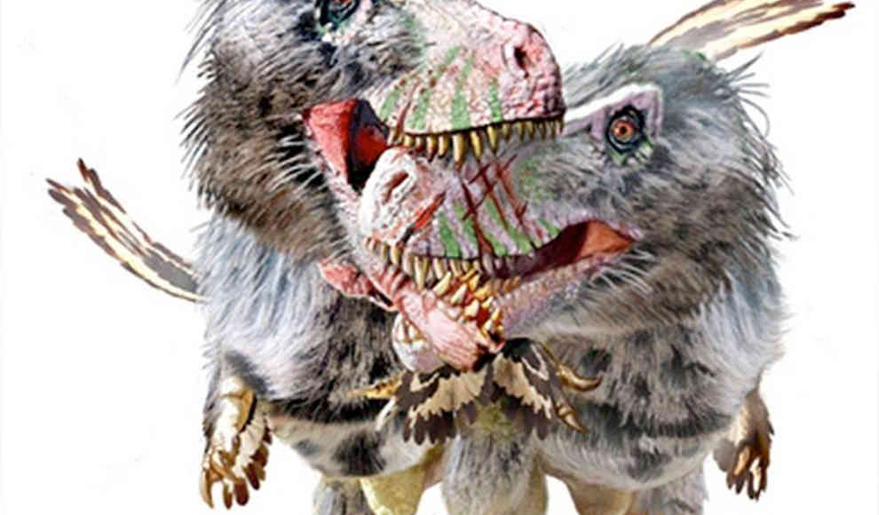 Daspletosaurus: Kannibalismus unter Dinosauriern