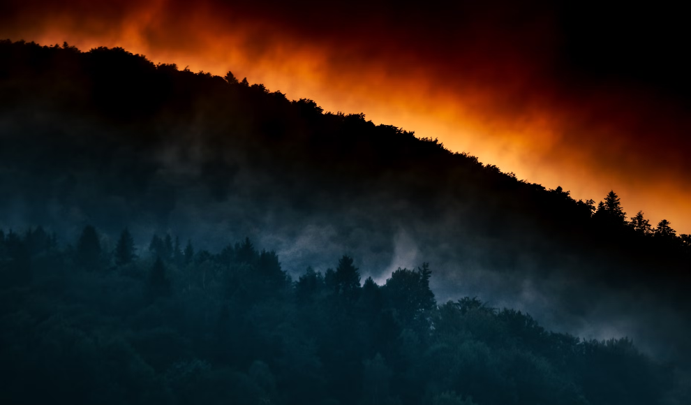 Waldbrand am Ende des Perm-Zeitalters (Symbolbild)