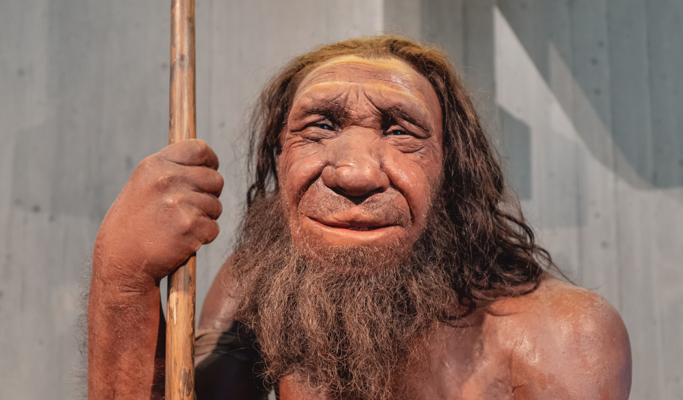 Wachsfigur eines Neandertalers 