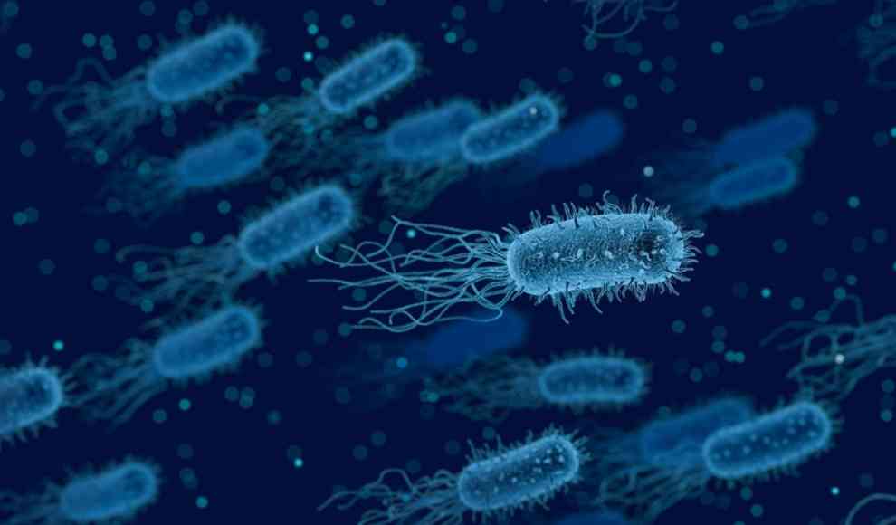 Multiresistente Bakterien