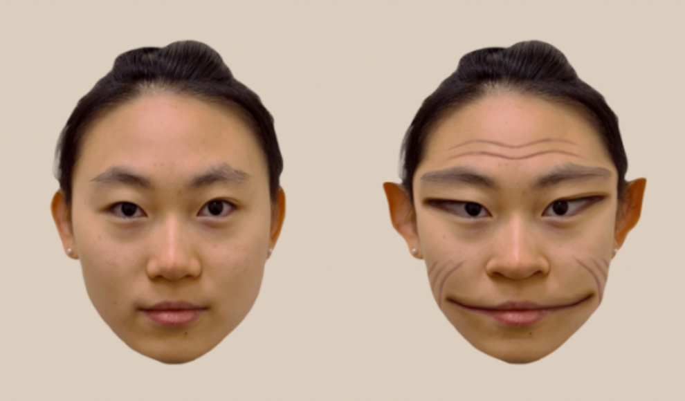 Prosopometamorphopsie stört Wahrnehmung von Gesichtern