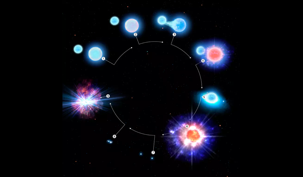 Entwicklung eines Doppelsternsystems 