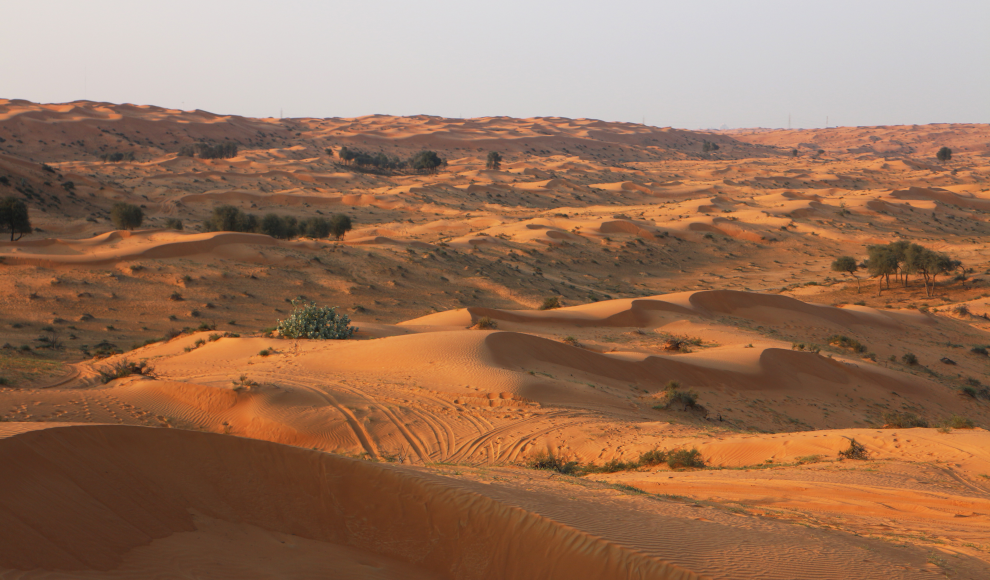 Arabische Wüsten