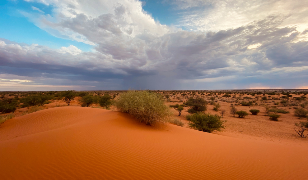 Kalahari