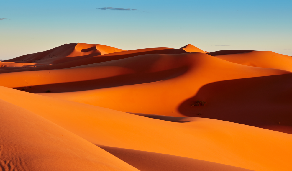 Sahara