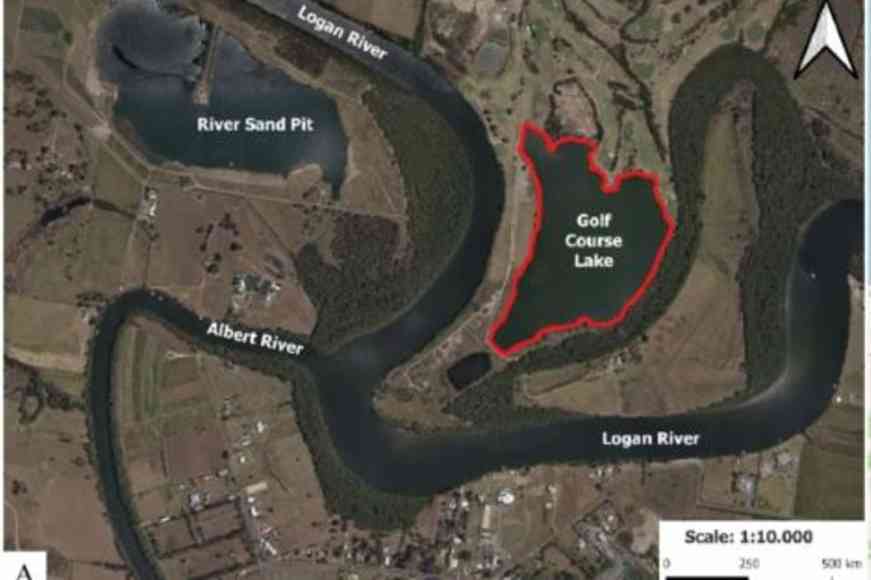 Der Logan River überflutet den See des Golfplatzes in regelmäßig