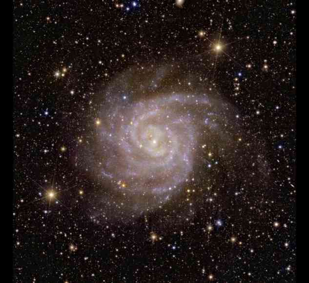 Spiralgalaxie IC 342