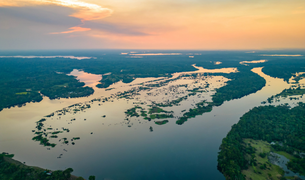 Amazonas