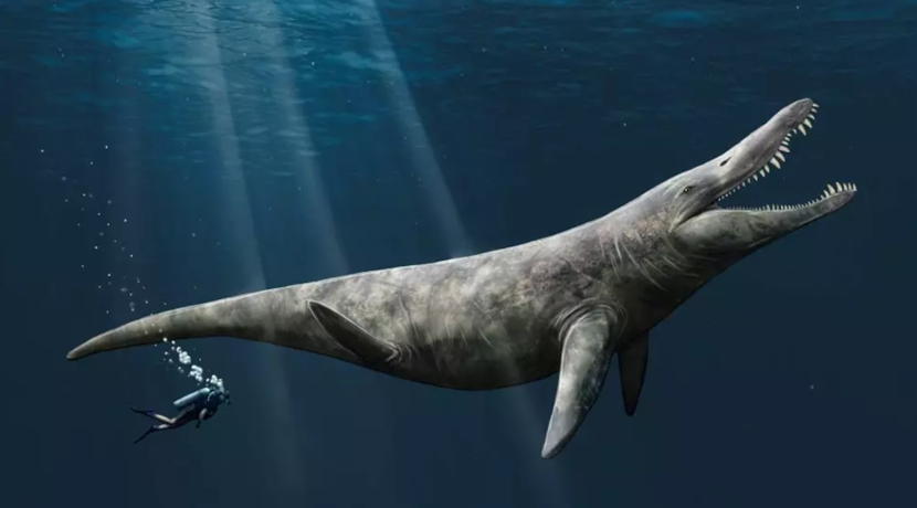 Pliosaurs – Marine dinosaurs were twice as large as killer whales