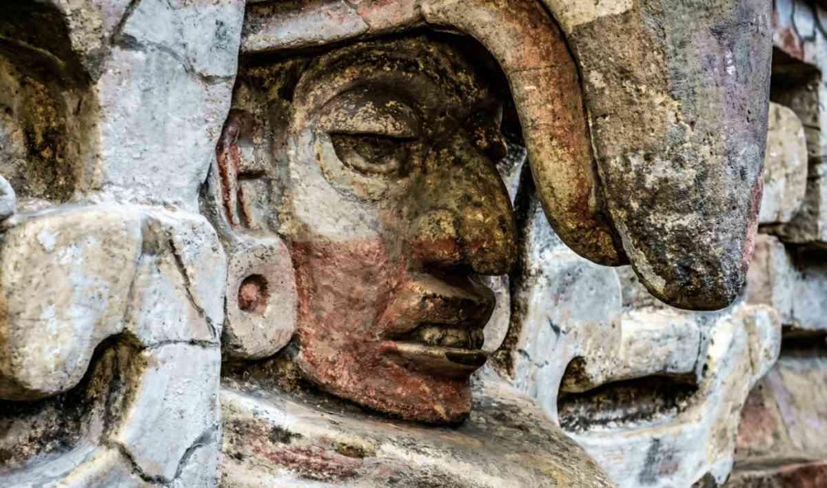 www.forschung-und-wissen.de
