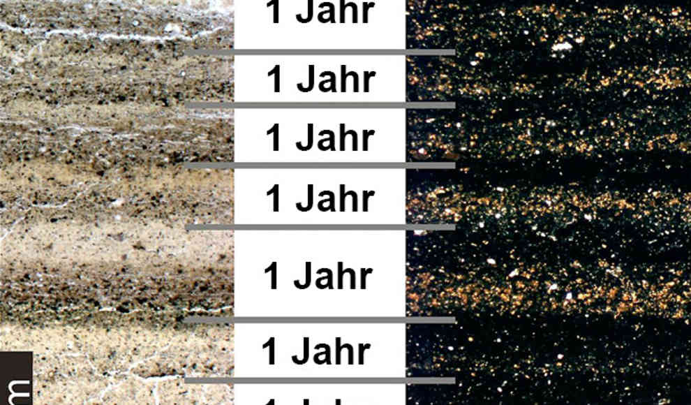 Forscher präzisieren Radiokarbonmethode