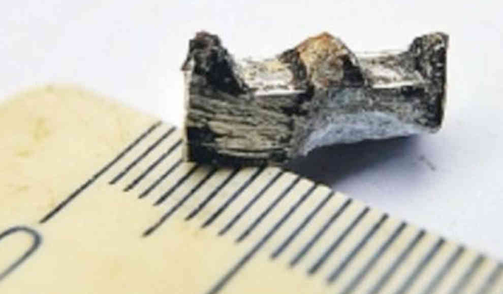 300 Millionen Jahre altes Zahnrad wirft Fragen auf