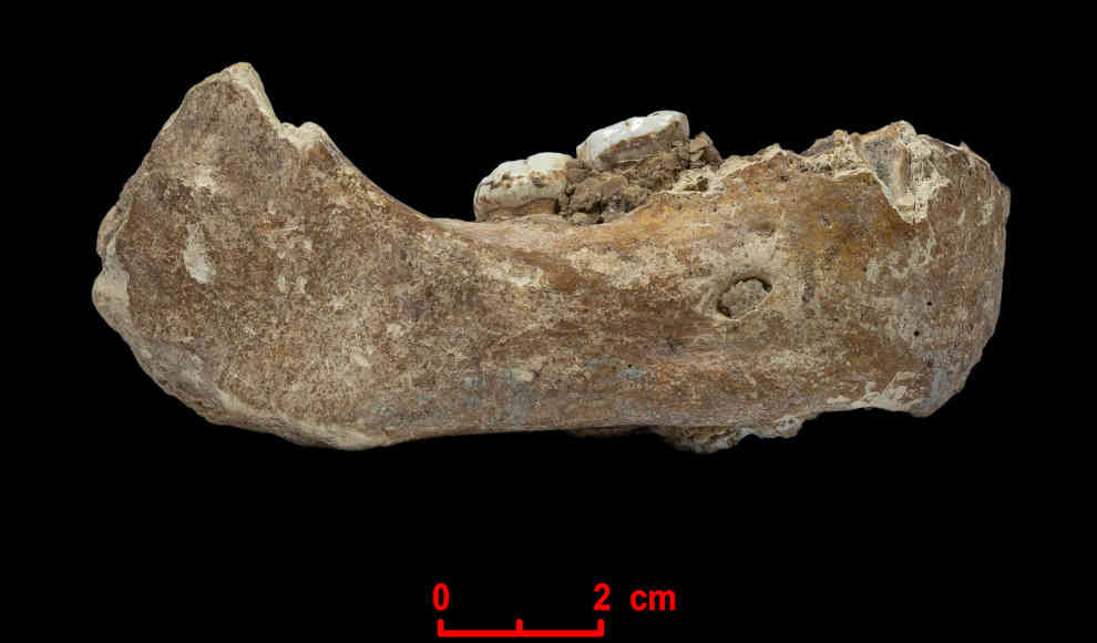 160.000 altes Denisova-Fossil in 3.280 Metern Höhe entdeckt