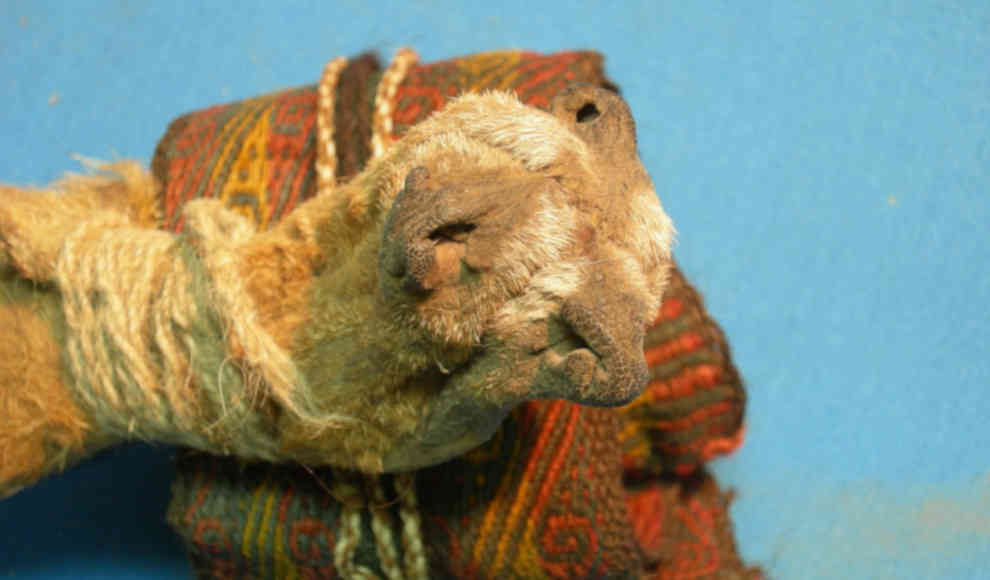 1.000 Jahre alte psychotrope Droge bei Ausgrabung in Bolivien entdeckt