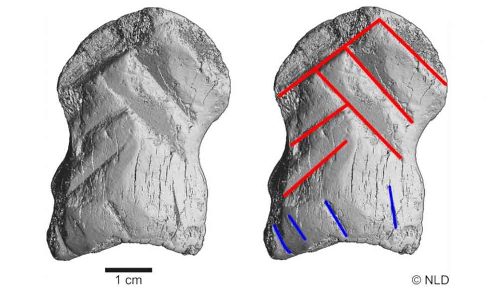 Kunstwerk eines Neandertalers