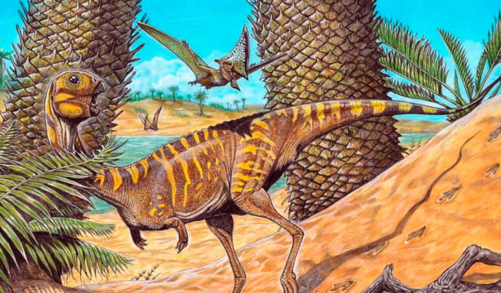 Berthasaura leopoldinae