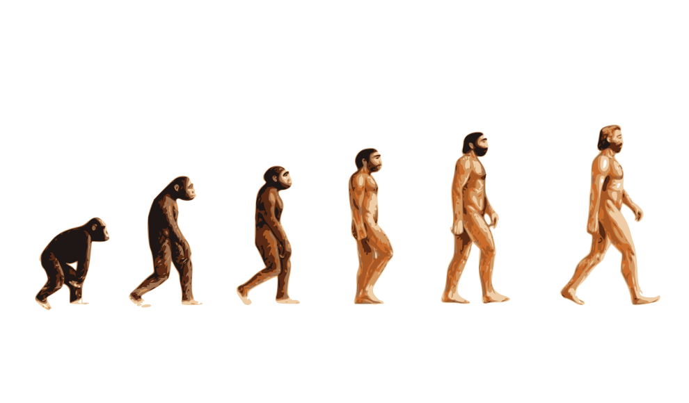 Evolution des Menschen in Afrika