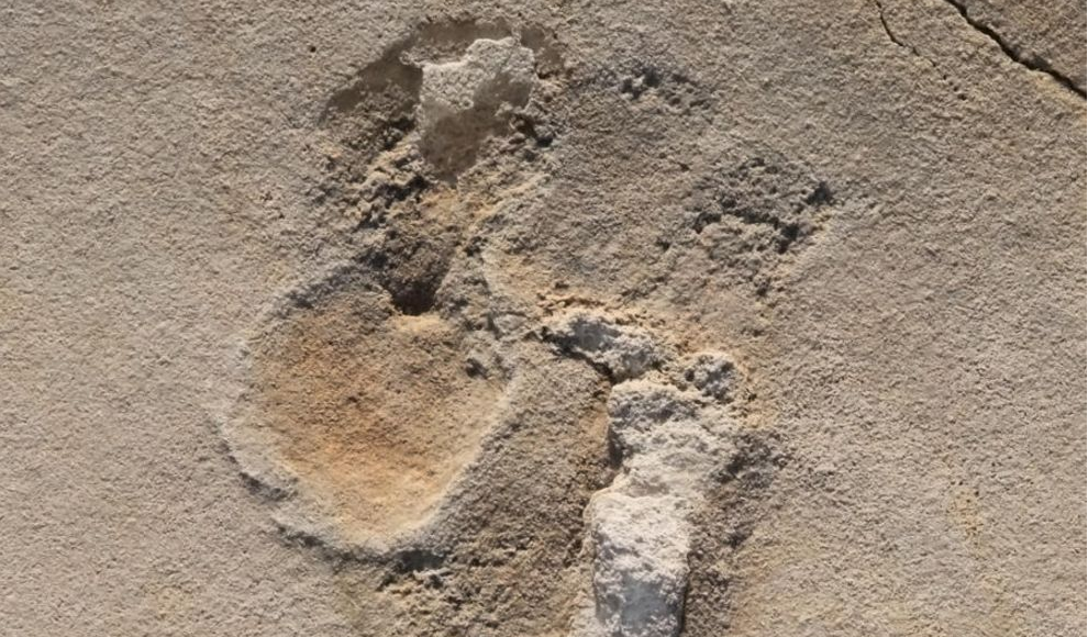 Älteste Fußabdrücke des Menschen 