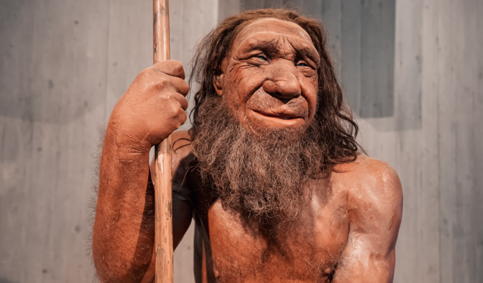 Neandertaler haben Frauen und Kinder gejagt 