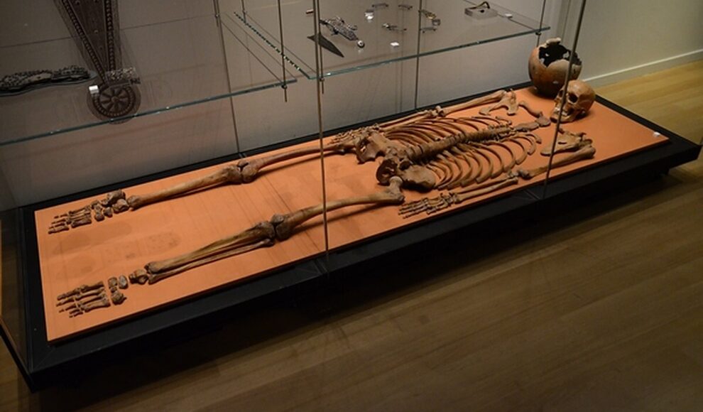 2.000 Jahre altes Skelett im Brunnen trägt Spuren vieler Stiche