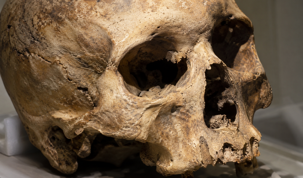 5000 Jahre alte Schädel belegen tödliche Gewalt an Pharaonengräbern