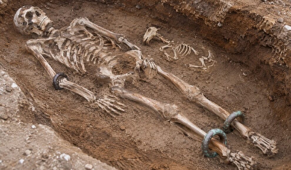 Keltengrab in Senden birgt nach 2.300 Jahren ein Lamm oder Zicklein