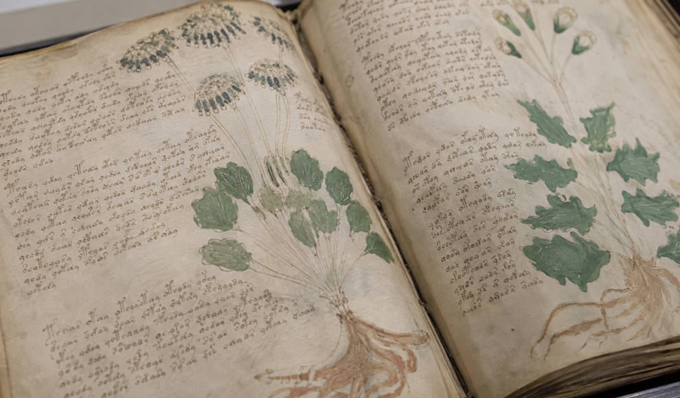 Voynich-Manuskript könnte seit 600 Jahren falsch gelesen werden