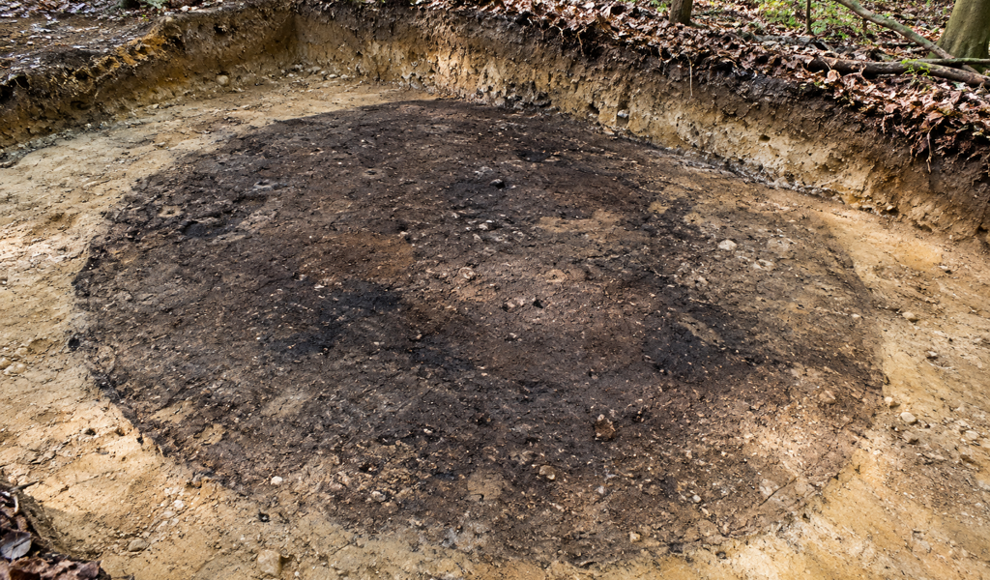 Waldboden verrät 130 Meter langen Stollen im Ruhrgebiet