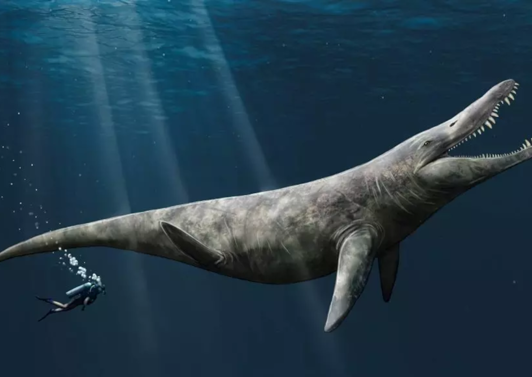 Pliosaurier Meeressaurier waren doppelt so groß wie Schwertwale