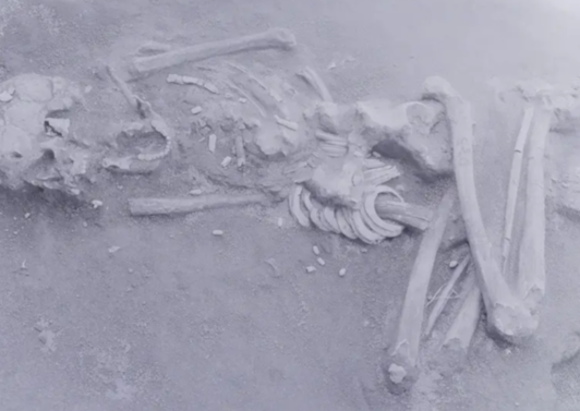 Archäologie Nachrichten und Wissen