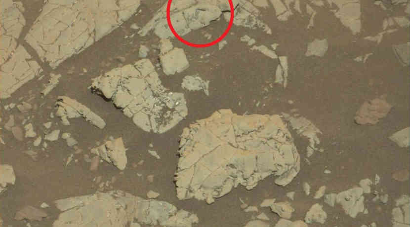 Curiosity Entdeckt Mogliche Fossilien Auf Dem Mars