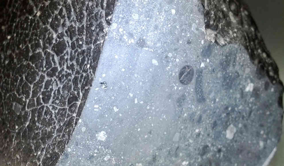 Meteorit vom Mars enthält Wasser und Sauerstoff