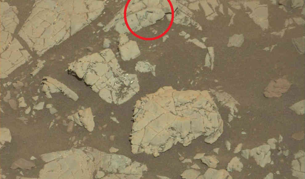 Curiosity entdeckt mögliche Mikrofossilien auf dem Mars 