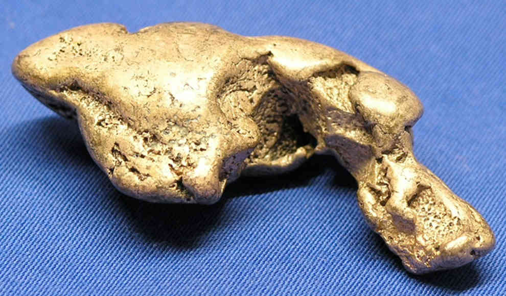 Seltene Bakterien formen kleine Gold-Nuggets