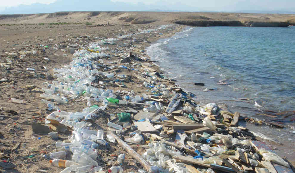 Forscher entdecken plastikfressende Bakterien