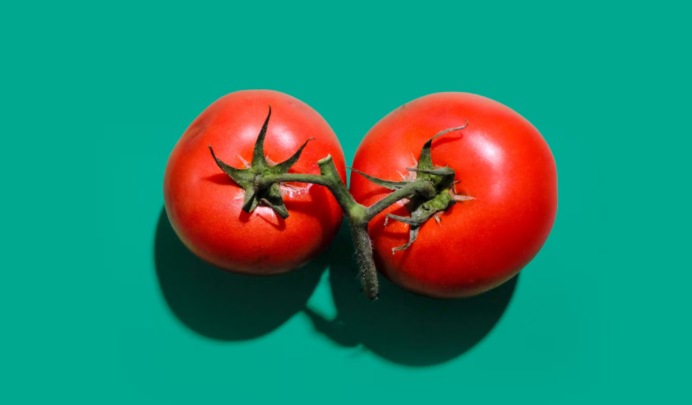 Tomaten (Symbolbild)
