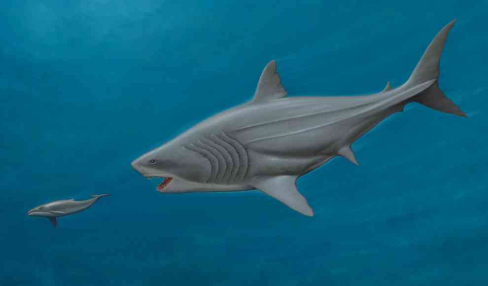 Megalodon auf der Jagd