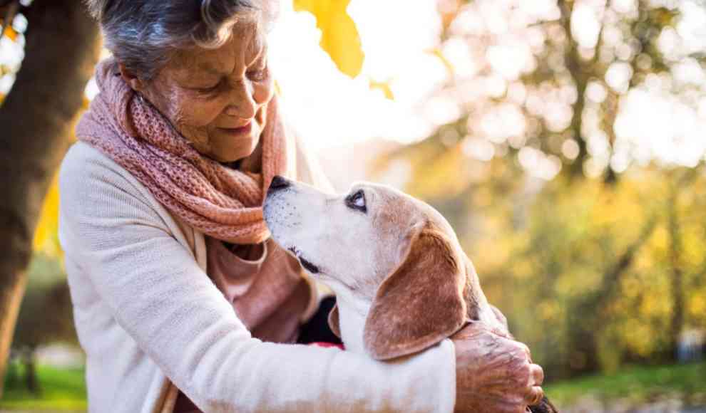 Hunde sollen länger leben