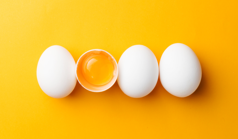 Gentechnisch veränderte Eier für Allergiker 