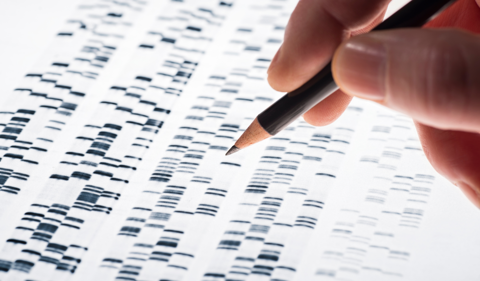 Analyse der maximalen Mutationsrobustheit