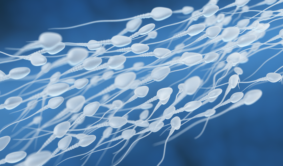 Spermien brechen Wechselwirkungsprinzip von Newton
