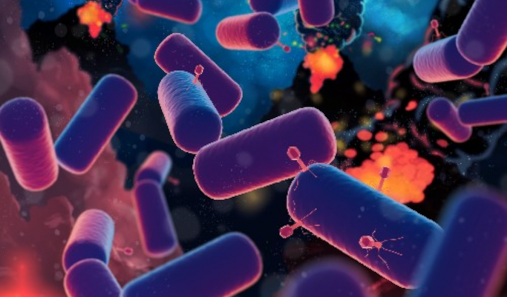 Last Universal Common Ancestor (LUCA), die ersten Lebewesen auf der Erde