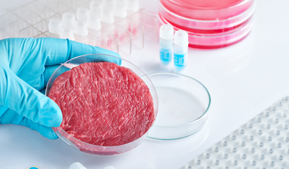 Laborfleisch mit realistischen Rindermuskelfasern