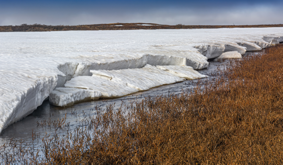 Abtauender Permafrost setzt Bakterien frei
