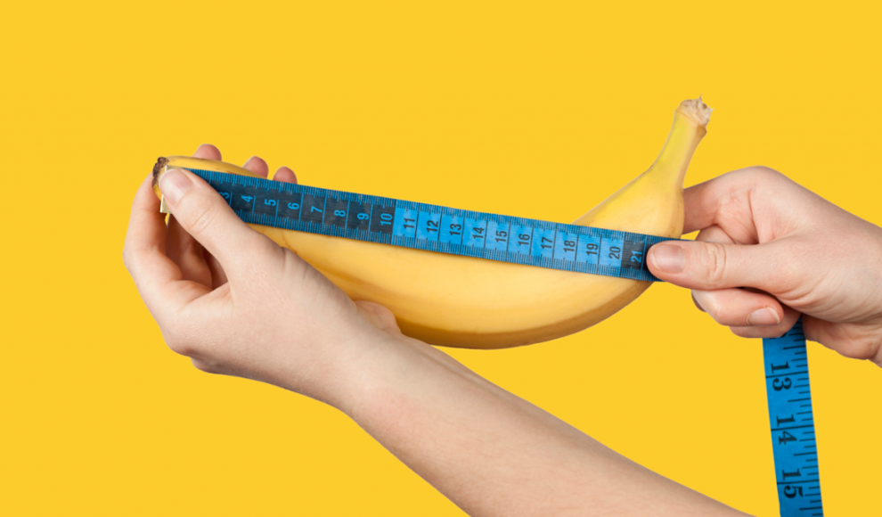 Großer Penis hat evolutionäre Vorteile