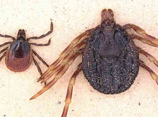 Biologie Nachrichten und Wissen