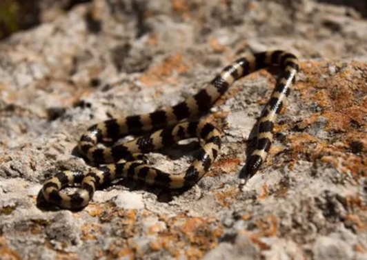 Biologie Nachrichten und Wissen