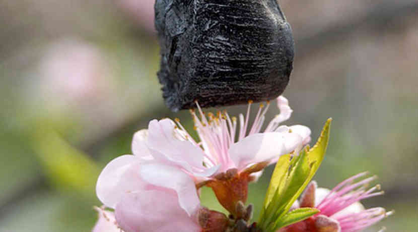 CarbonAerogel ist leichter als Luft