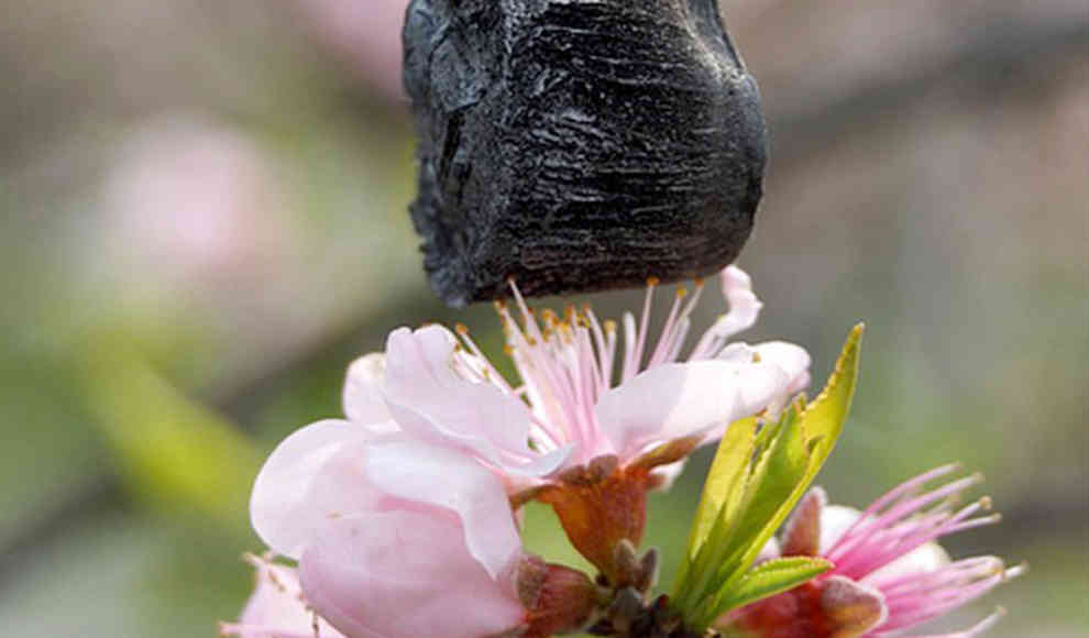 Carbon-Aerogel ist leichter als Luft 