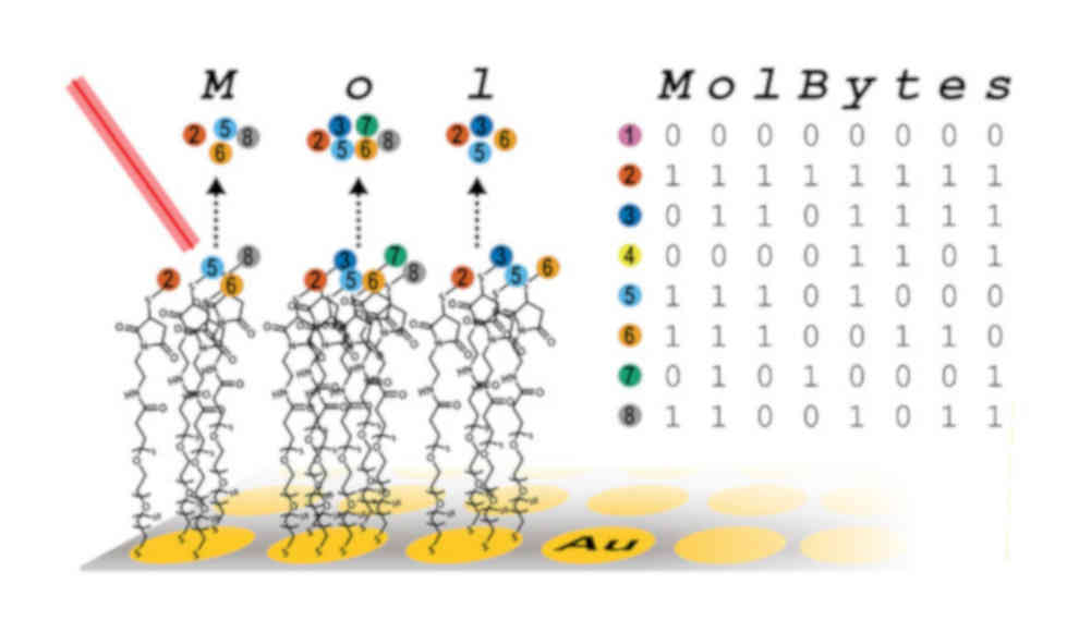 Beständiger Datenspeicher aus Biomolekülen vorgestellt